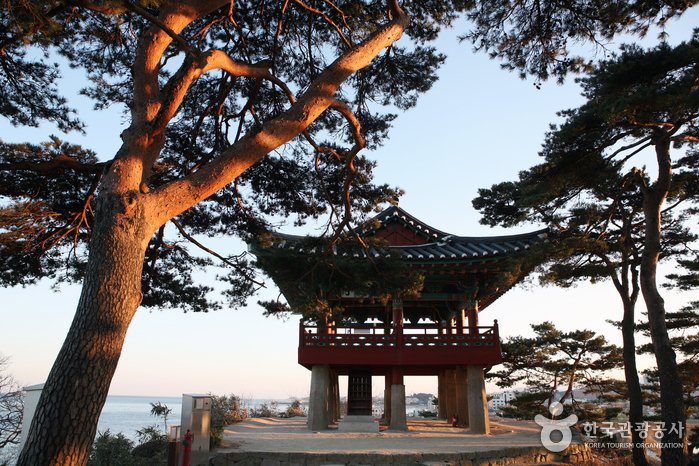 명태덕장 이미지