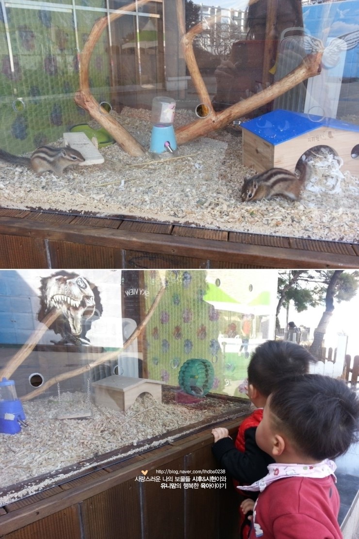 스파이더롯데포항 이미지