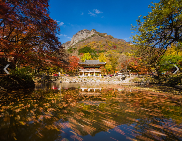채은병 이미지