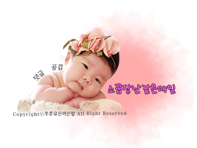 그레이스푸드 이미지
