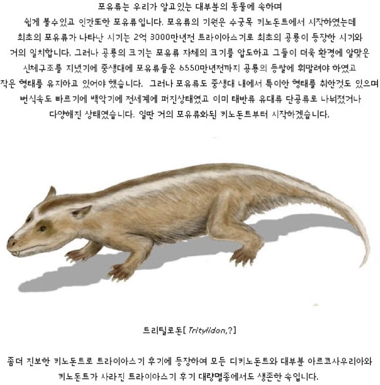 틸로 이미지