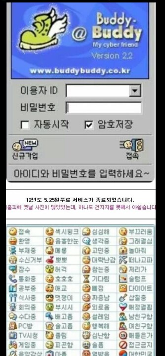 버디버디 이미지
