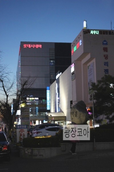 코코줌마 이미지