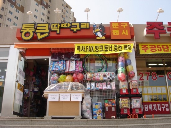 통큰딱따구리 이미지