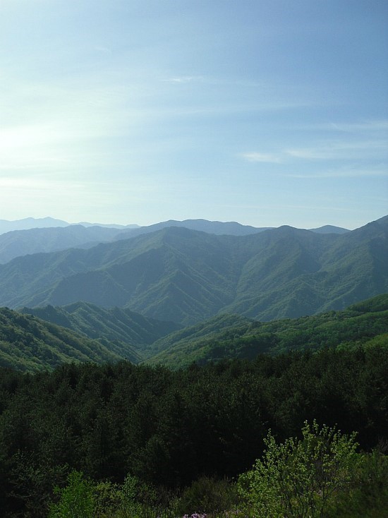 진동산막 이미지