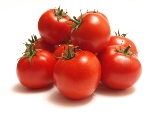 토마토휘트니스 이미지