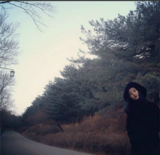 제이비네이처 이미지