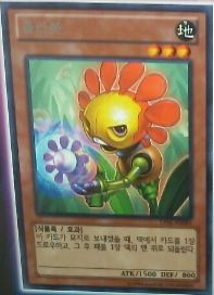 밸리언트 이미지