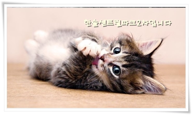 한솔냉.난방 이미지