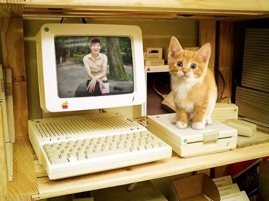 혜유 이미지