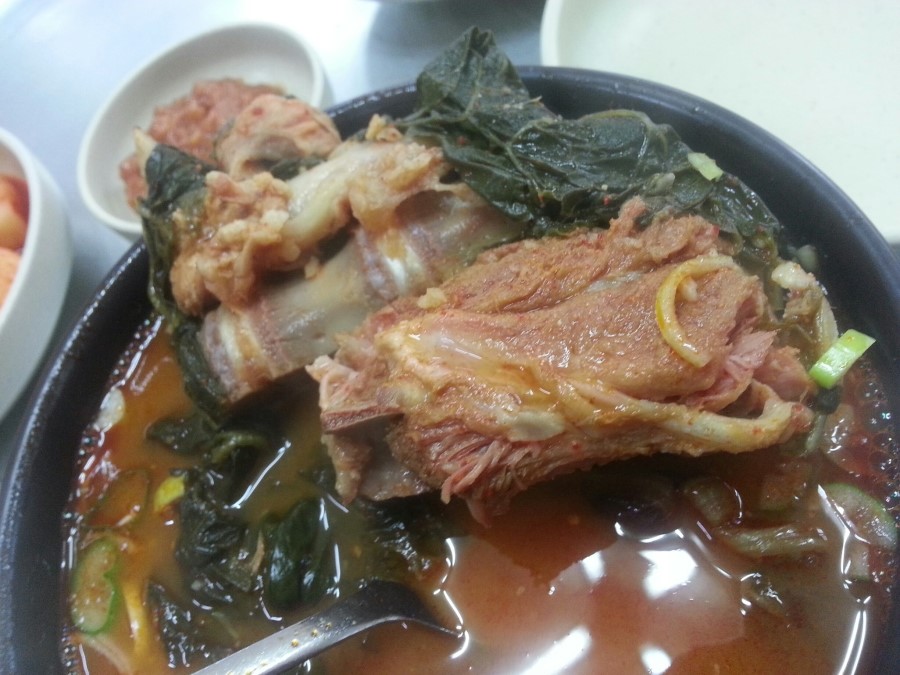나홀로뚝배기 이미지