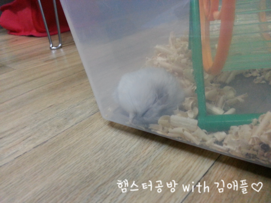 잘자 이미지