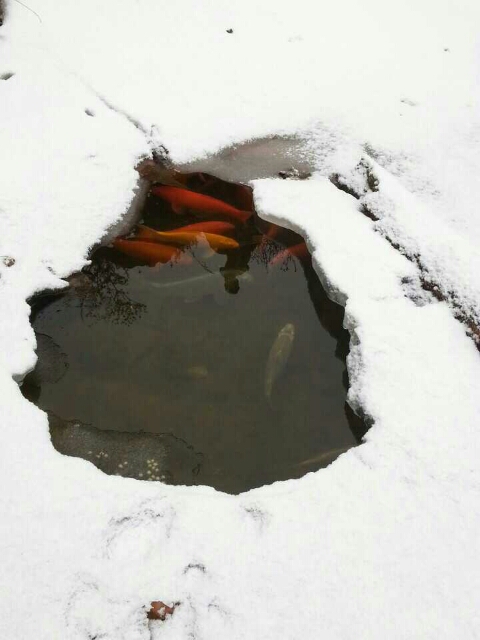 한누리 이미지