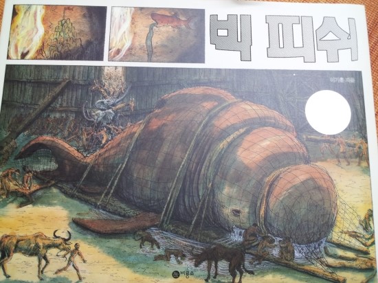 (주)빅피쉬 이미지