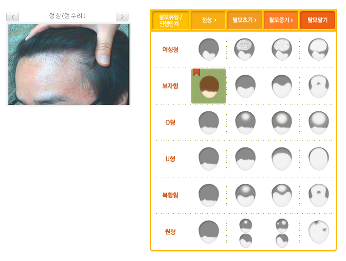 위즈시스템 이미지
