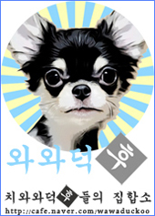 승바른체형 이미지