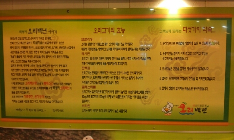 백년오리 이미지