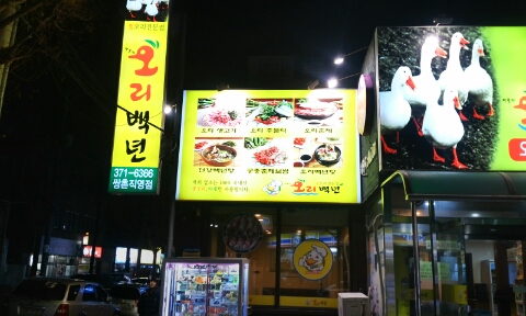 백년오리 이미지