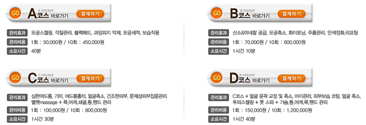 리즈테라피 이미지