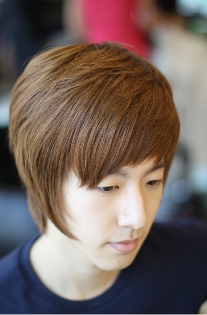 모이모이 이미지