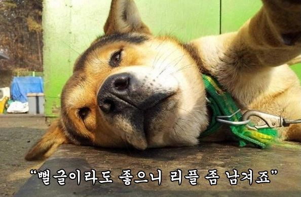 허브모텔 이미지