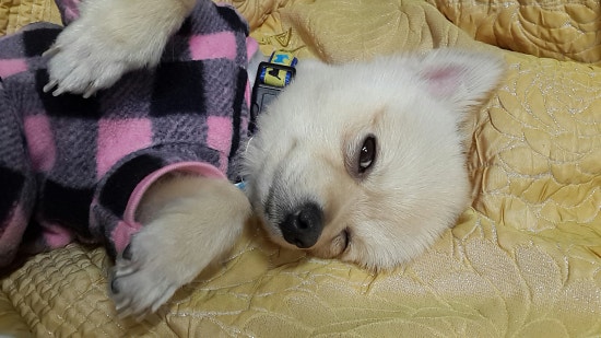 잘래 이미지
