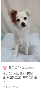 꽁이 이미지