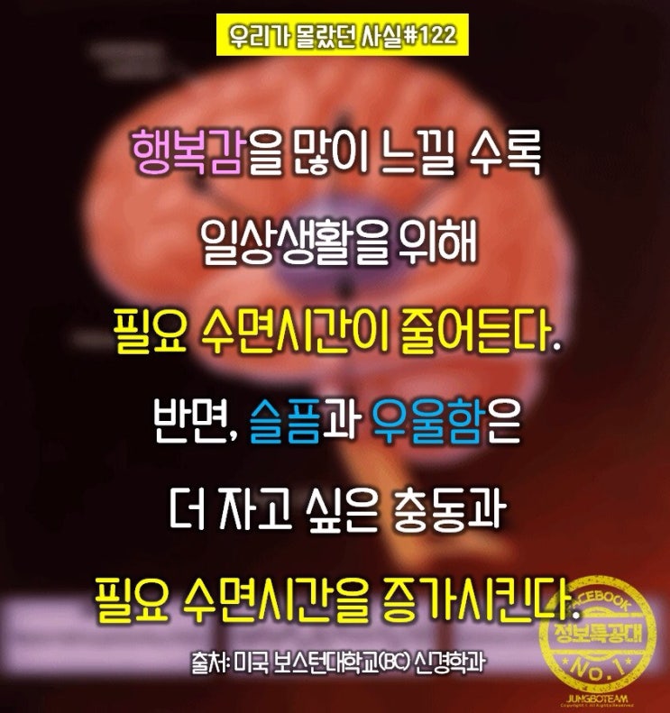 소프트치킨 이미지