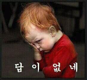 헤이캠핑카 이미지