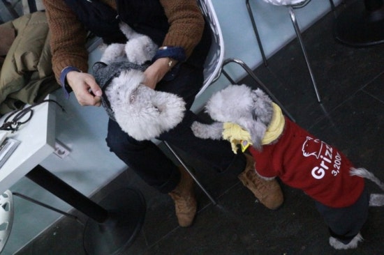 카페벨르 이미지