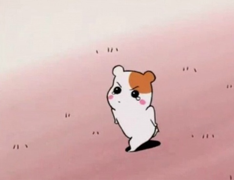 쿡앤하임 이미지