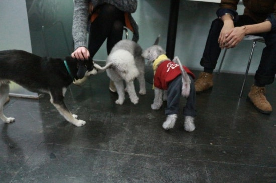 카페벨르 이미지