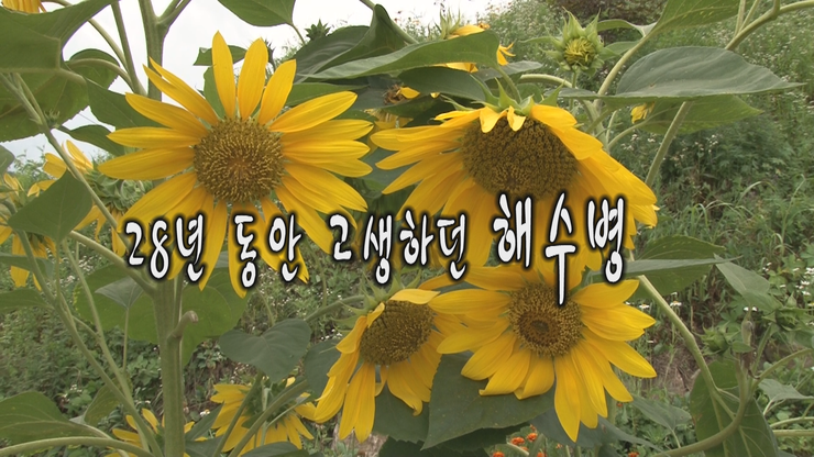 코코실버(주) 이미지