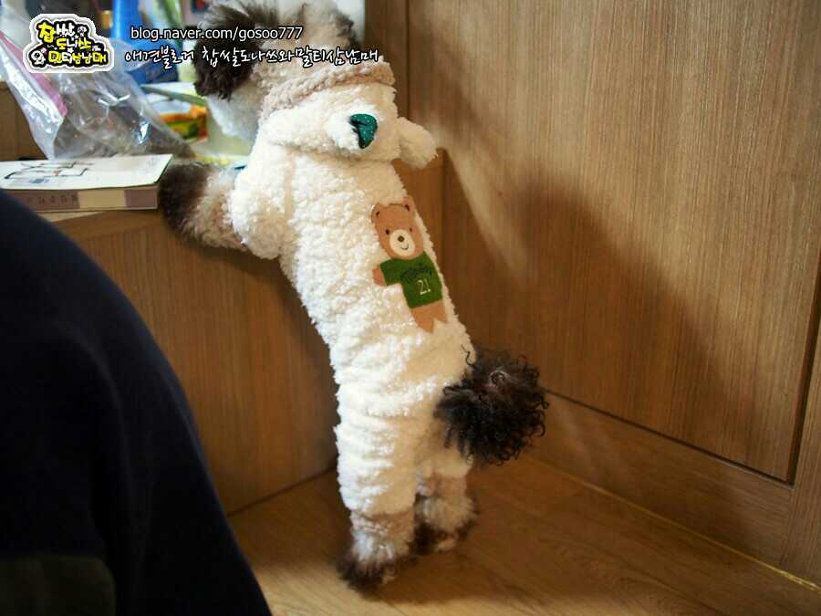 달빛유리 이미지