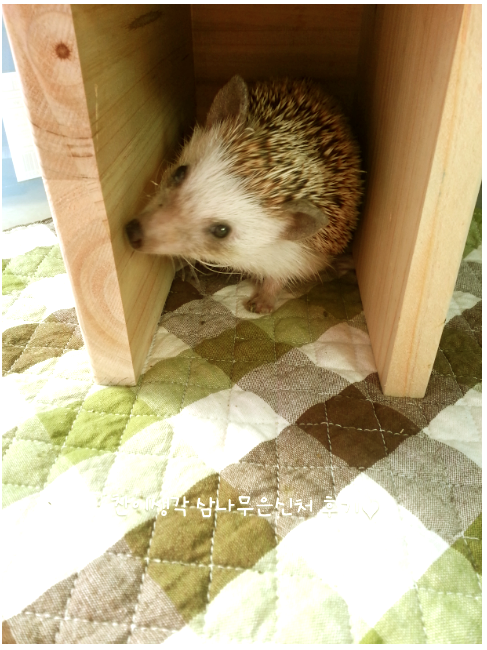 생각공방 이미지