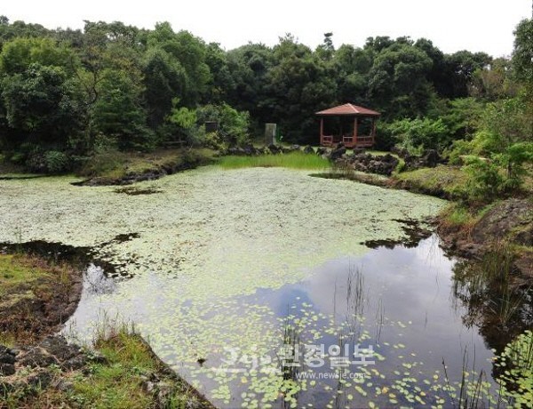동산글로벌 이미지