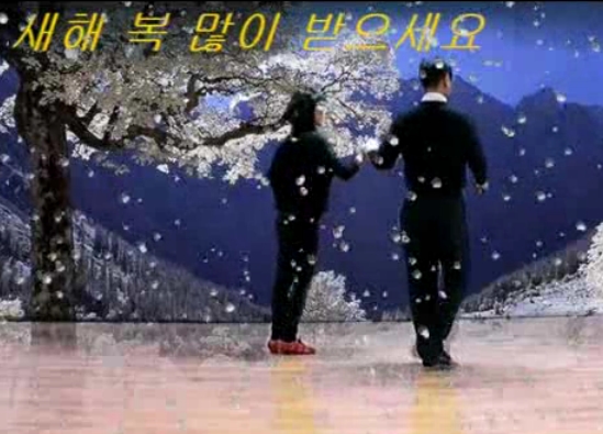 창원댄스스포츠학원 이미지