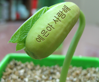 (주)아이디어콩 이미지