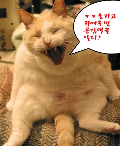 스시진 이미지