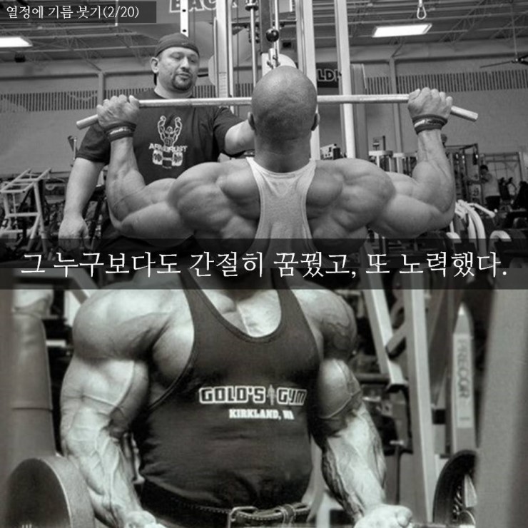 바디쉐프 이미지