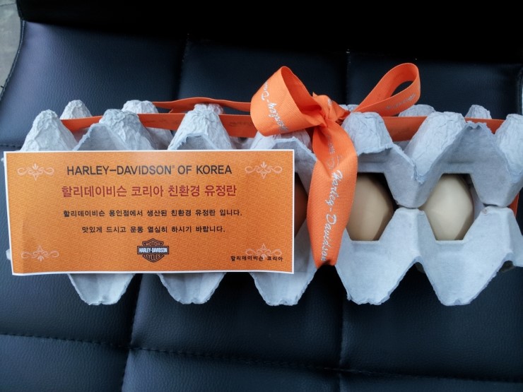 리본처자 이미지
