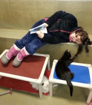 야옹 이미지
