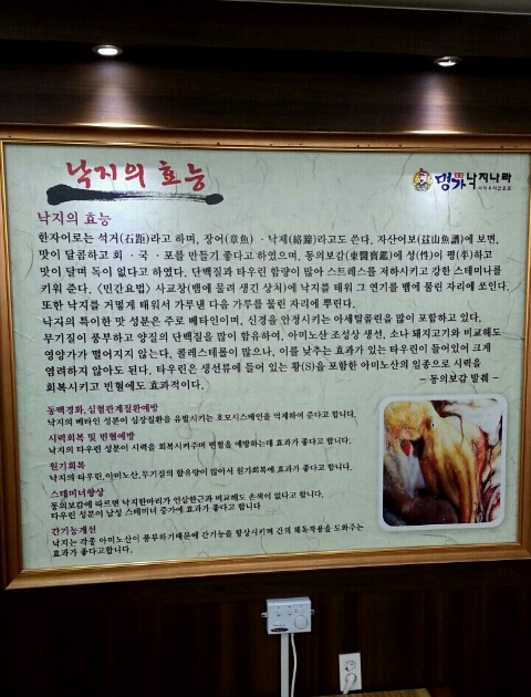 낙지나라 이미지