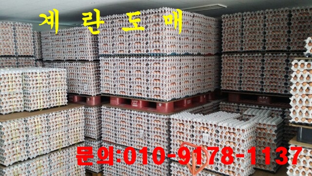 공주유통 이미지