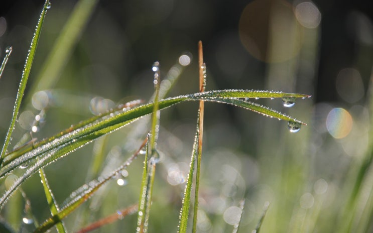 자연 NATURE 이미지