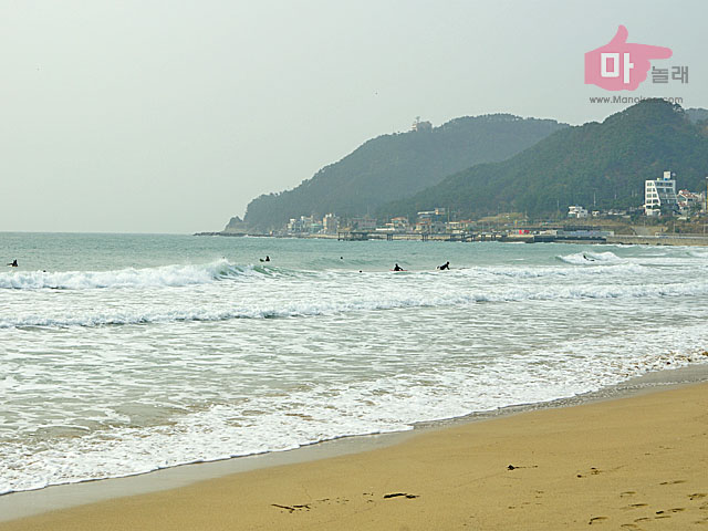 뉴송정펜션민박 이미지