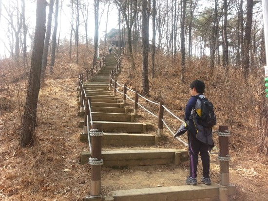용인정(노구봉 정상) 이미지