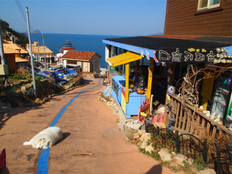 다솔김밥 이미지