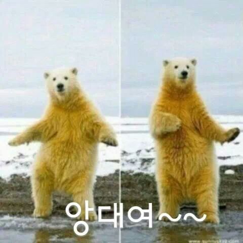 단석가찰보리빵 이미지