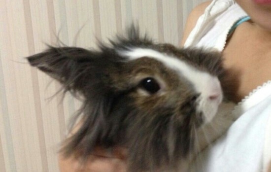 사람과커뮤니케이션 이미지